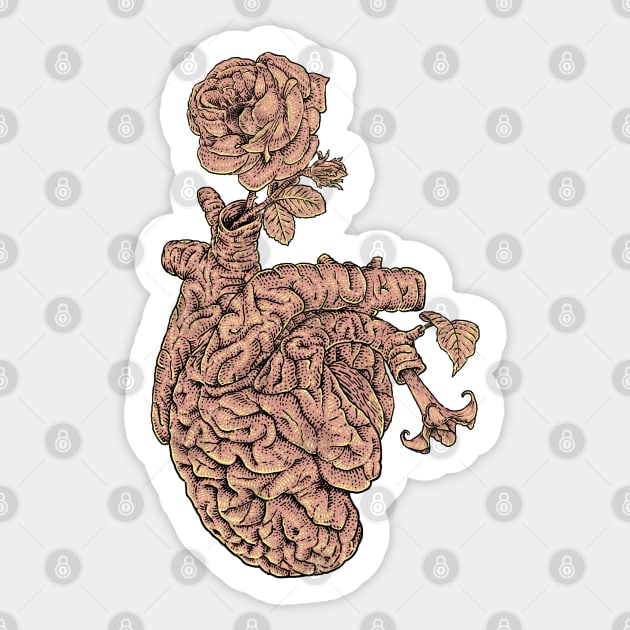 Brain Heart Sticker by ilvstrasi